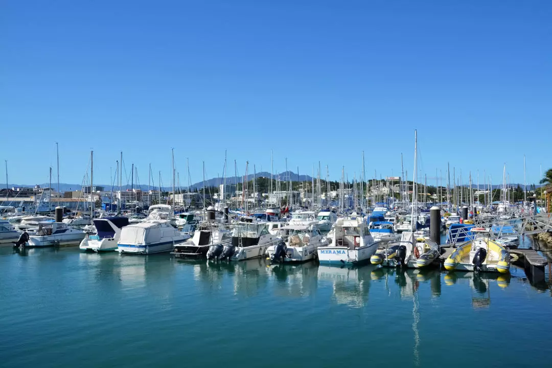 Check For Diseases Like Legionella - Ensuring Public Safety On Yachts 